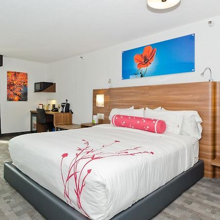 Hotel Elan YYC المظهر الخارجي الصورة